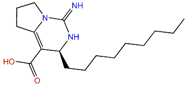 Monanchoradin C